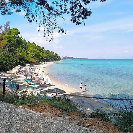 Hotel Estia *